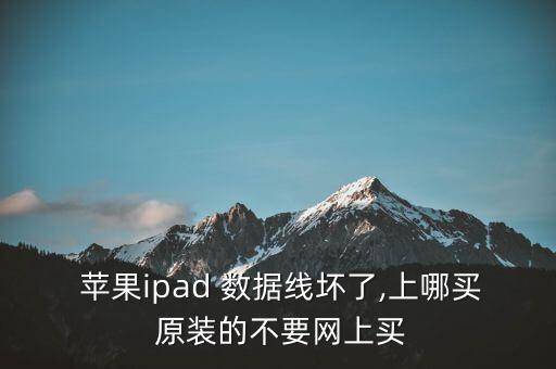  蘋果ipad 數(shù)據(jù)線壞了,上哪買 原裝的不要網(wǎng)上買