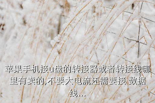 蘋果手機接u盤的轉(zhuǎn)接器或者轉(zhuǎn)接線哪里有賣的,不要大電流還需要接 數(shù)據(jù)線...