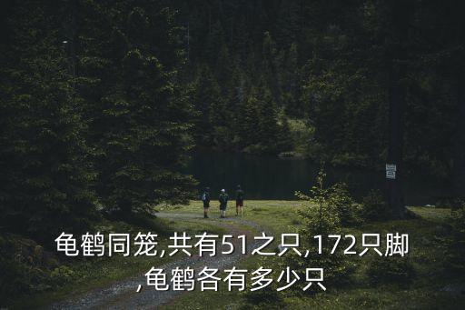 計算龜的數量這個數據,計算同一列重復數據數量