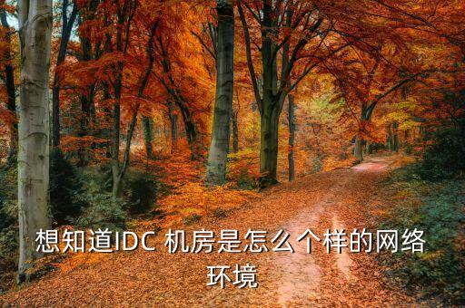 想知道IDC 機(jī)房是怎么個(gè)樣的網(wǎng)絡(luò)環(huán)境