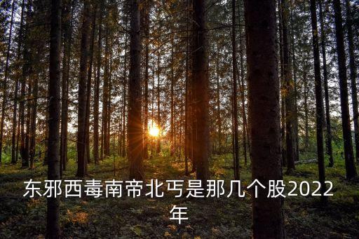東邪西毒南帝北丐是那幾個(gè)股2022年