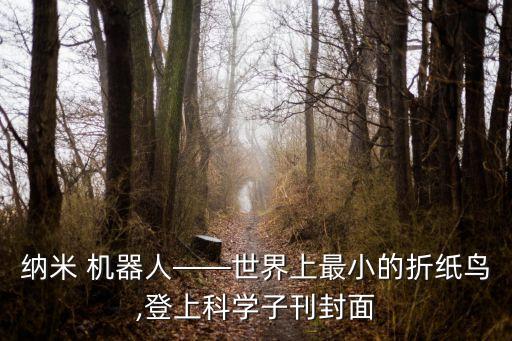 最小的助力機(jī)器人,可穿戴搬運(yùn)助力機(jī)器人