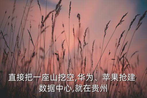 直接把一座山挖空,華為、蘋果搶建 數(shù)據(jù)中心,就在貴州