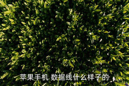 蘋果手機 數(shù)據(jù)線什么樣子的