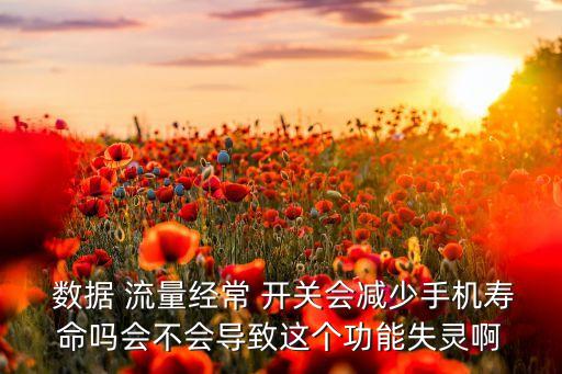 數(shù)據(jù)流量總開關