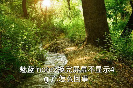 魅藍note2上不去數(shù)據(jù)網(wǎng)