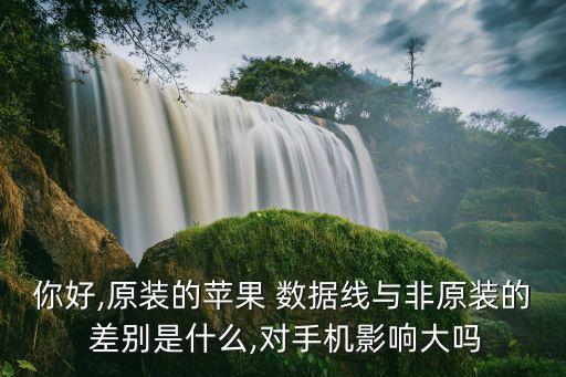 你好,原裝的蘋果 數(shù)據(jù)線與非原裝的 差別是什么,對(duì)手機(jī)影響大嗎
