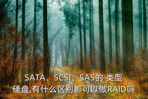 SATA、SCSI、SAS的 類型硬盤,有什么區(qū)別都可以做RAID嗎