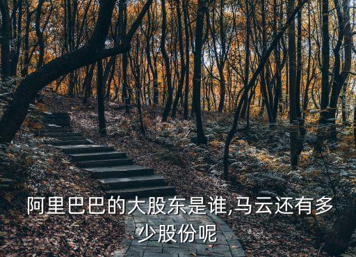  阿里巴巴的大股東是誰,馬云還有多少股份呢