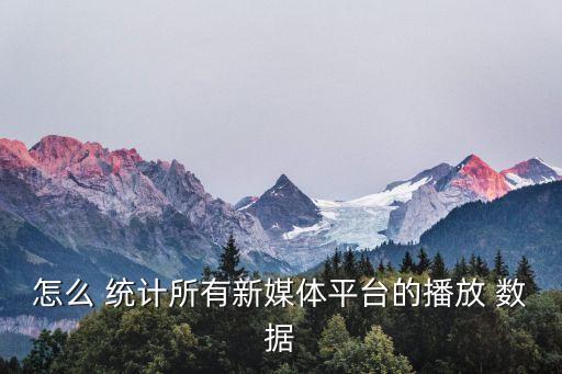怎么 統(tǒng)計(jì)所有新媒體平臺(tái)的播放 數(shù)據(jù)