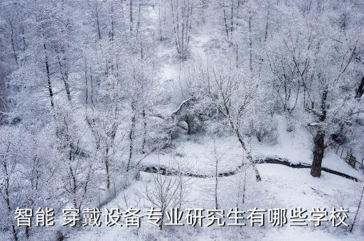 智能 穿戴設(shè)備專業(yè)研究生有哪些學(xué)校