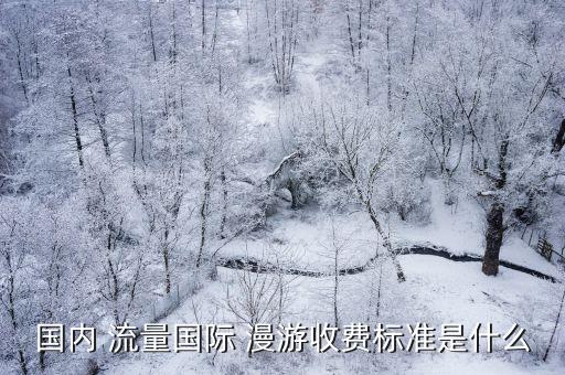 國(guó)內(nèi) 流量國(guó)際 漫游收費(fèi)標(biāo)準(zhǔn)是什么