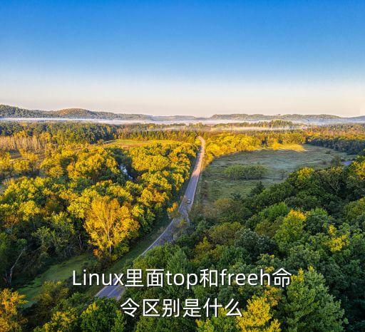 Linux里面top和freeh命令區(qū)別是什么