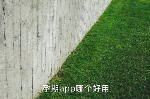  孕期app哪個(gè)好用