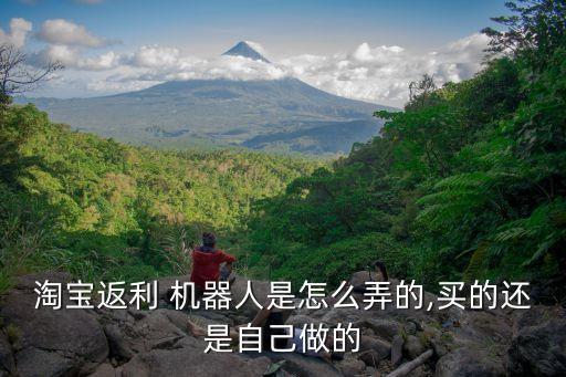 淘寶返利 機器人是怎么弄的,買的還是自己做的