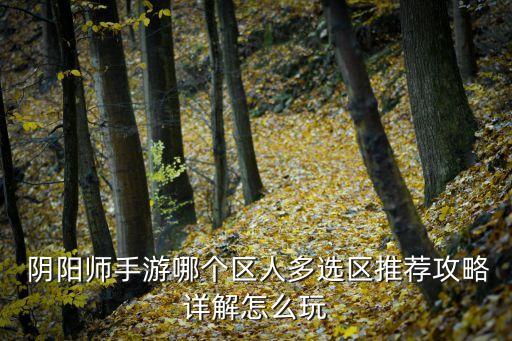  陰陽師手游哪個區(qū)人多選區(qū)推薦攻略詳解怎么玩
