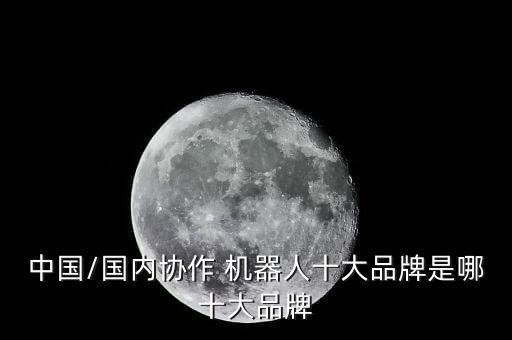 中國/國內(nèi)協(xié)作 機器人十大品牌是哪十大品牌