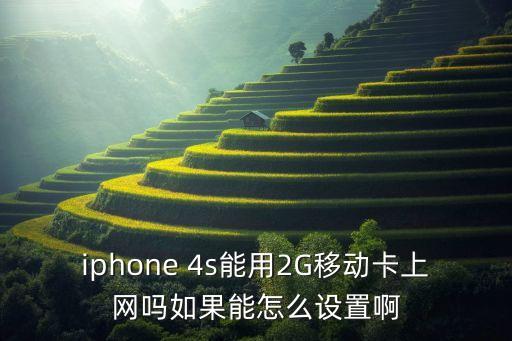 iphone 4s能用2G移動卡上網(wǎng)嗎如果能怎么設(shè)置啊
