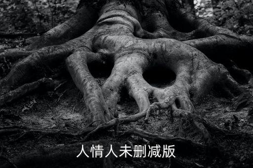 機(jī)器人情人未刪減版