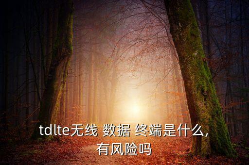 tdlte無線 數(shù)據(jù) 終端是什么,有風險嗎