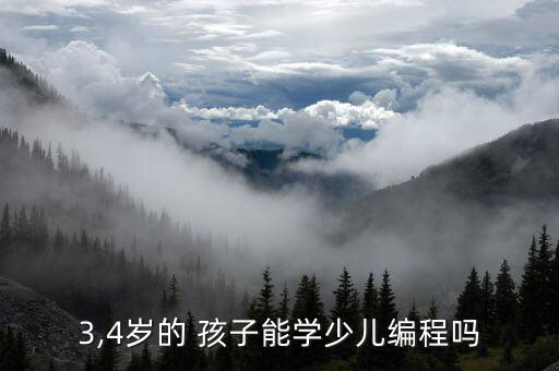 3,4歲的 孩子能學(xué)少兒編程嗎