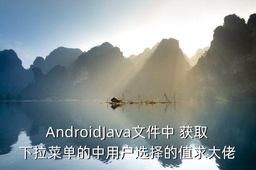 spinner數(shù)據(jù)從網(wǎng)絡(luò)獲取,android spinner獲取選中