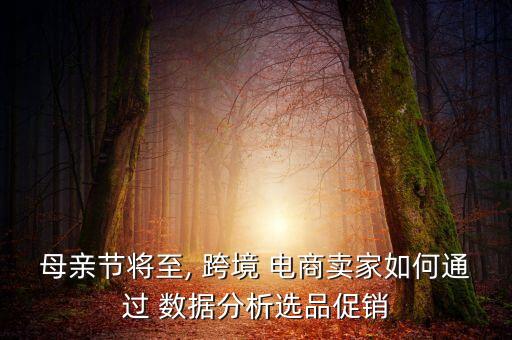 母親節(jié)將至, 跨境 電商賣家如何通過 數(shù)據(jù)分析選品促銷