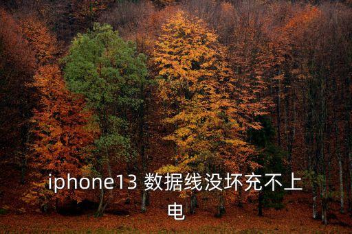 iphone13 數(shù)據(jù)線沒(méi)壞充不上電