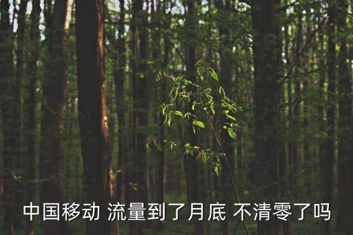 中國移動 流量到了月底 不清零了嗎