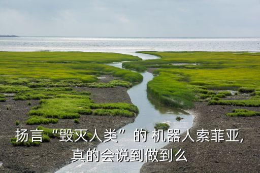 揚言“毀滅人類”的 機器人索菲亞,真的會說到做到么