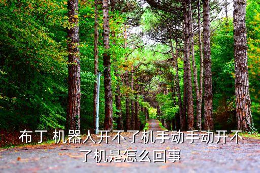 布丁機器人離線怎么辦,hamibot機器人離線怎么辦