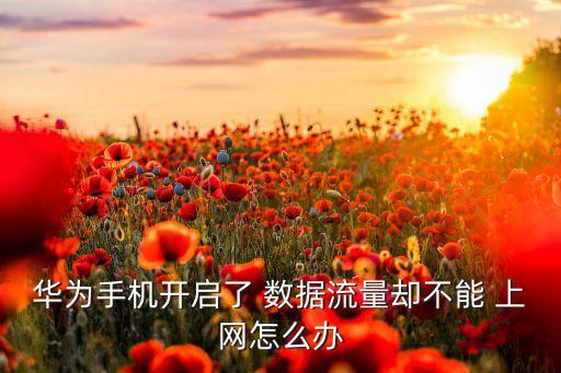 榮耀6無法數(shù)據(jù)上網(wǎng)設(shè)置,中國聯(lián)通手機(jī)數(shù)據(jù)上網(wǎng)設(shè)置
