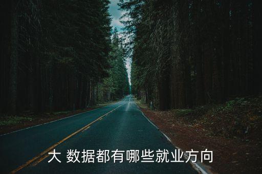 大 數(shù)據(jù)都有哪些就業(yè)方向