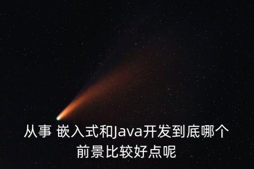 大數(shù)據(jù)和嵌入式那個(gè)好