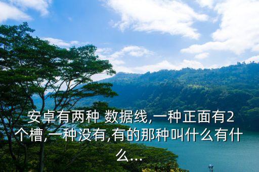  安卓有兩種 數(shù)據(jù)線,一種正面有2個槽,一種沒有,有的那種叫什么有什么...