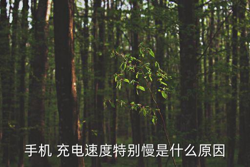 手機(jī) 充電速度特別慢是什么原因
