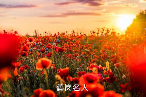 斯坦德機(jī)器人校招,昆山斯坦德機(jī)器人怎么樣