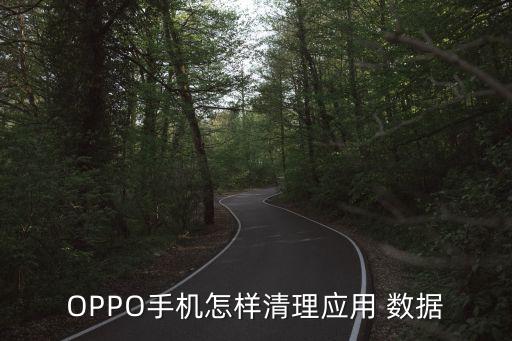 OPPO手機(jī)怎樣清理應(yīng)用 數(shù)據(jù)
