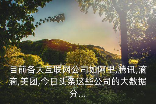 目前各大互聯(lián)網(wǎng)公司如阿里,騰訊,滴滴,美團(tuán),今日頭條這些公司的大數(shù)據(jù)分...