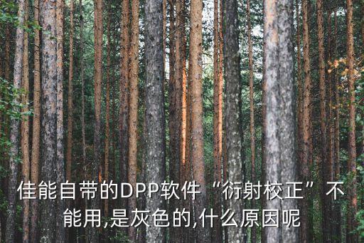 佳能自帶的DPP軟件“衍射校正”不能用,是灰色的,什么原因呢