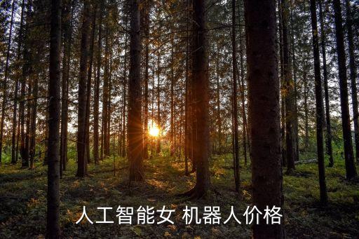 人工智能女 機(jī)器人價(jià)格