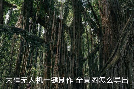 大疆無人機(jī)一鍵制作 全景圖怎么導(dǎo)出