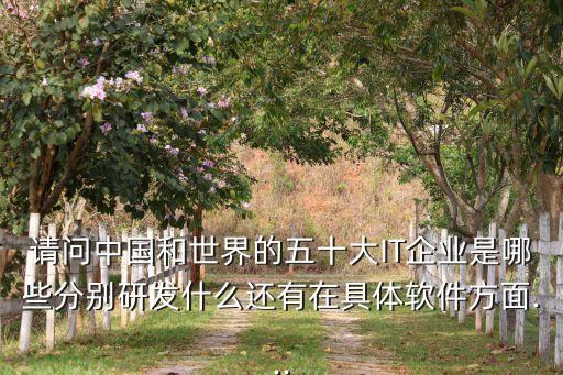 請(qǐng)問中國(guó)和世界的五十大IT企業(yè)是哪些分別研發(fā)什么還有在具體軟件方面...
