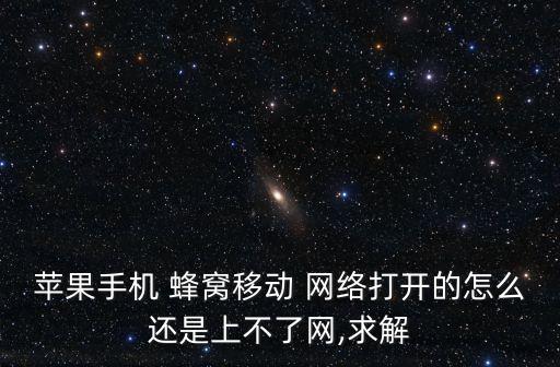 蘋果手機 蜂窩移動 網(wǎng)絡打開的怎么還是上不了網(wǎng),求解