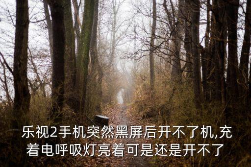  樂視2手機(jī)突然黑屏后開不了機(jī),充著電呼吸燈亮著可是還是開不了