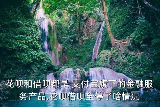 支付寶客戶數(shù)據(jù)分析,描繪客戶畫(huà)像數(shù)據(jù)分析結(jié)果
