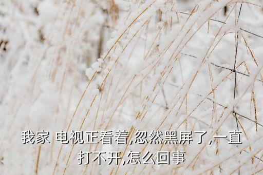 海信電視 led55xt770g3d 樂視tv獲取數(shù)據(jù)失敗