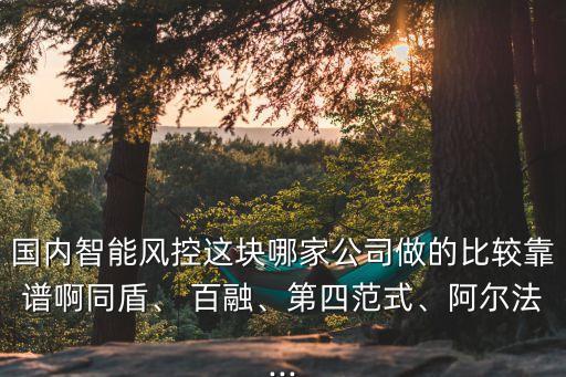 百融數據
