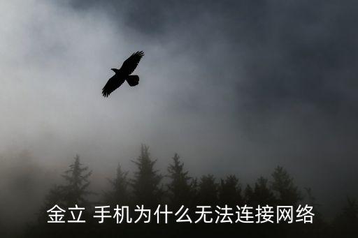  金立 手機(jī)為什么無(wú)法連接網(wǎng)絡(luò)