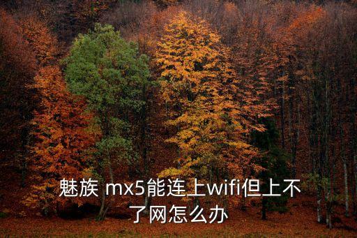 魅族mx5數(shù)據(jù)網(wǎng)絡(luò)權(quán)限